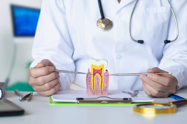 Best Emergency Dental Care for Sports Injuries in Towson, MD